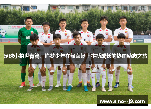 足球小将世青篇：追梦少年在绿茵场上拼搏成长的热血励志之旅
